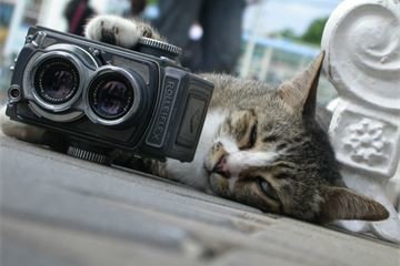 don-t-disturb-1540083-1920x1440